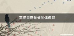 莫德里奇是谁的偶像啊