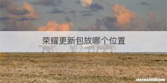 荣耀更新包放哪个位置