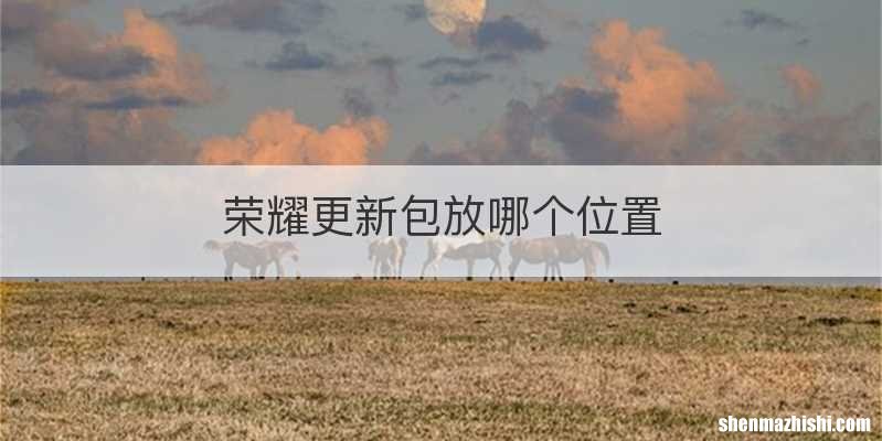 荣耀更新包放哪个位置