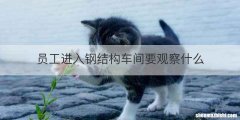 员工进入钢结构车间要观察什么