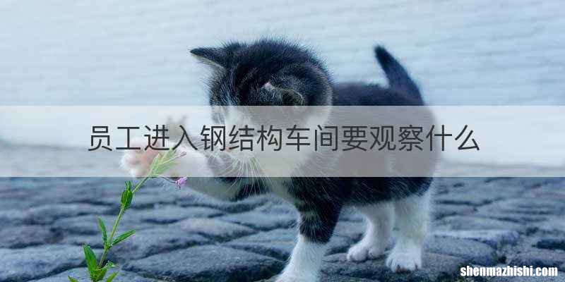 员工进入钢结构车间要观察什么