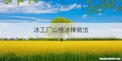 冰工厂山楂冰棒做法