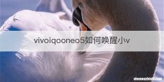vivoiqooneo5如何唤醒小v