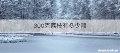 300克荔枝有多少颗