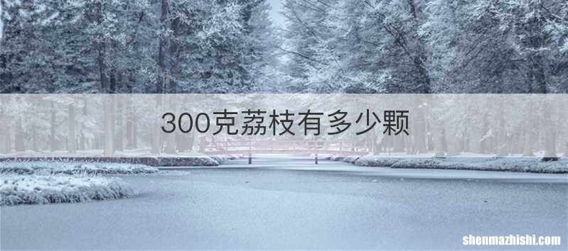 300克荔枝有多少颗