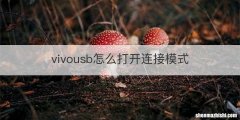 vivousb怎么打开连接模式