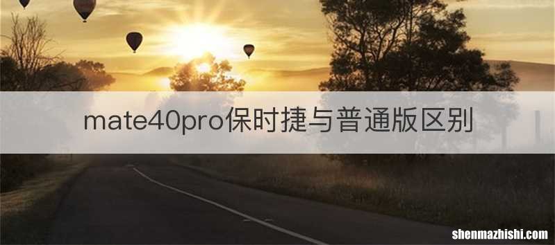 mate40pro保时捷与普通版区别