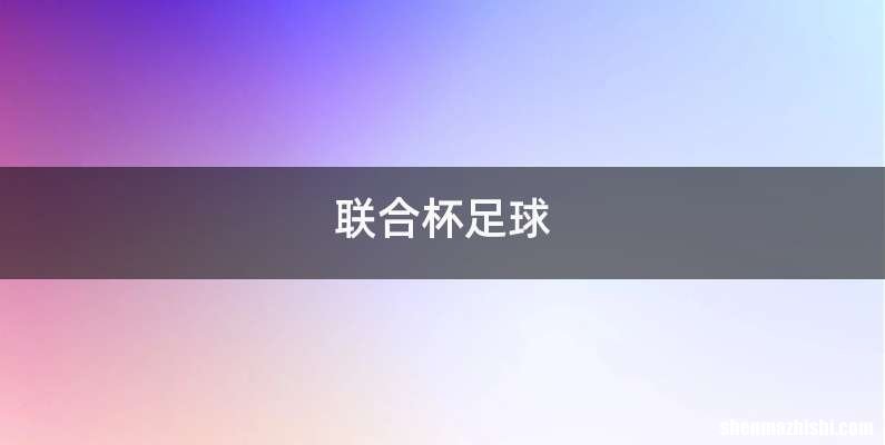 联合杯足球