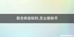 联合体投标时,怎么做标书