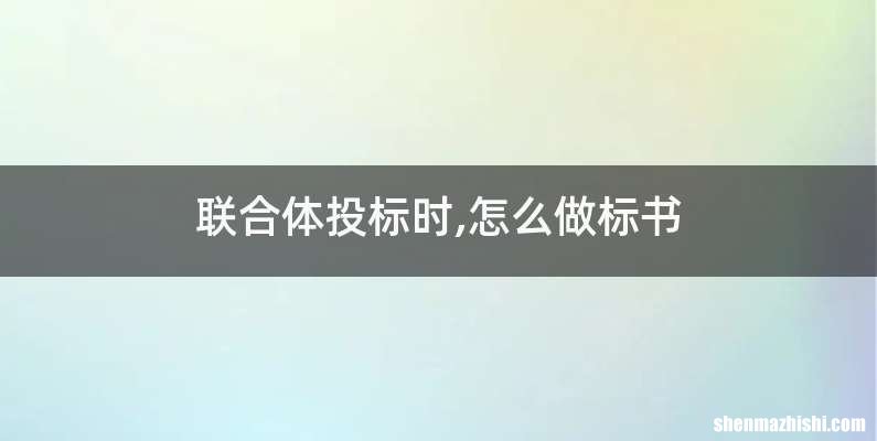 联合体投标时,怎么做标书