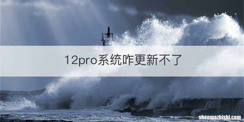 12pro系统咋更新不了