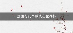 法国有几个球队在世界杯