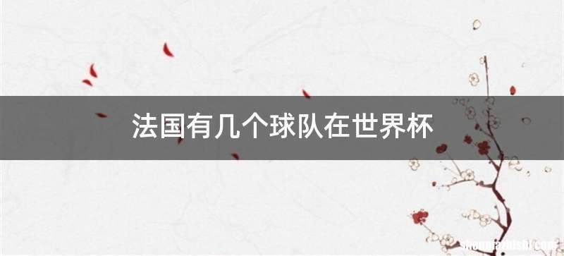 法国有几个球队在世界杯