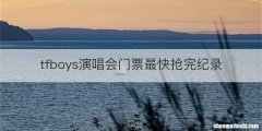 tfboys演唱会门票最快抢完纪录