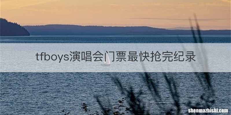 tfboys演唱会门票最快抢完纪录
