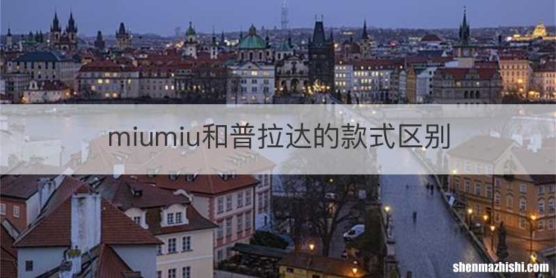 miumiu和普拉达的款式区别