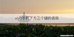 vivo手机下方三个键的名称