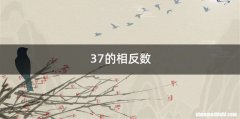 37的相反数