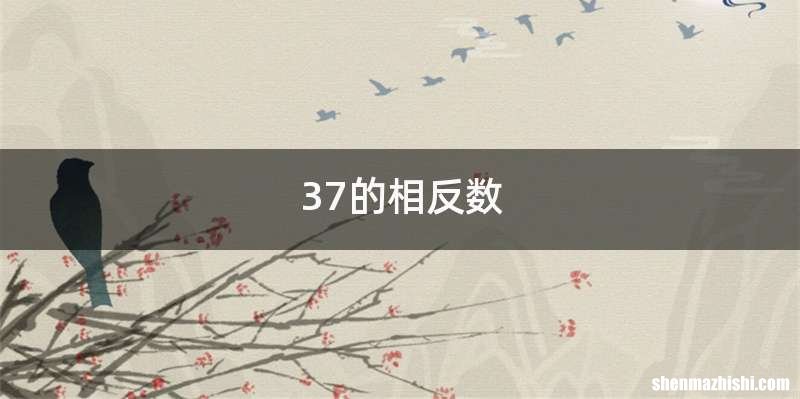 37的相反数