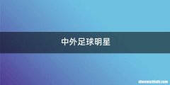 中外足球明星