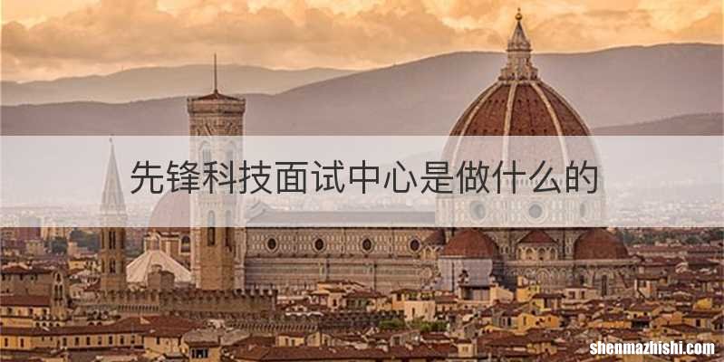 先锋科技面试中心是做什么的