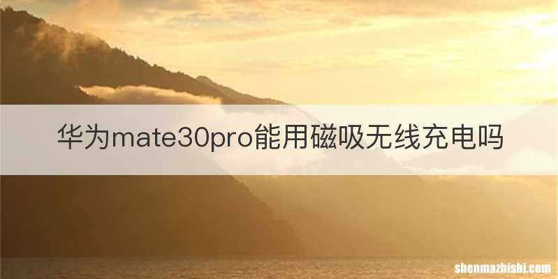 华为mate30pro能用磁吸无线充电吗