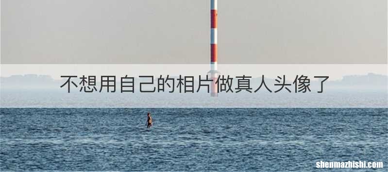 不想用自己的相片做真人头像了