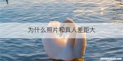 为什么照片和真人差距大