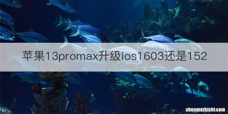 苹果13promax升级ios1603还是152