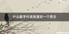 什么数字代表我喜欢一个男生
