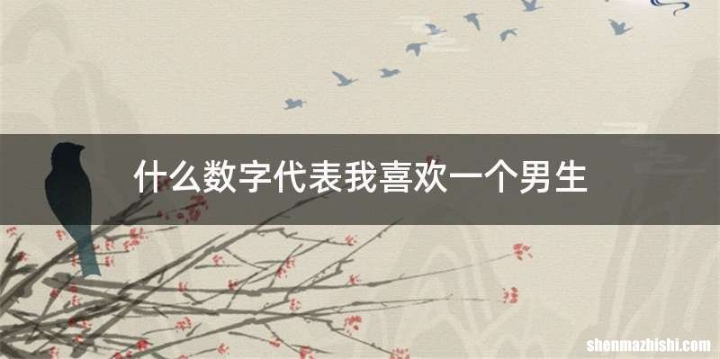 什么数字代表我喜欢一个男生