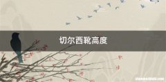 切尔西靴高度