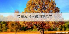 荣耀30指纹解锁不见了