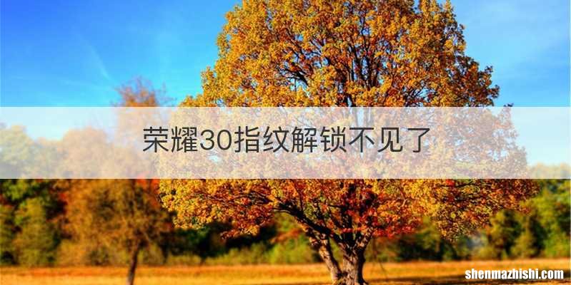 荣耀30指纹解锁不见了
