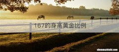 167的身高黄金比例