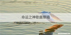 命运之神歌曲原唱