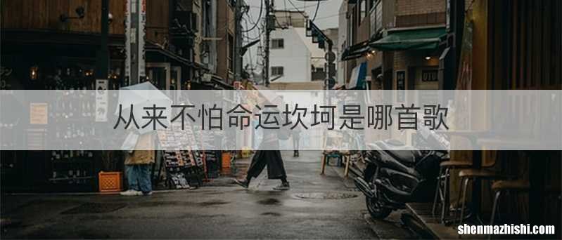 从来不怕命运坎坷是哪首歌