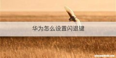 华为怎么设置闪退键