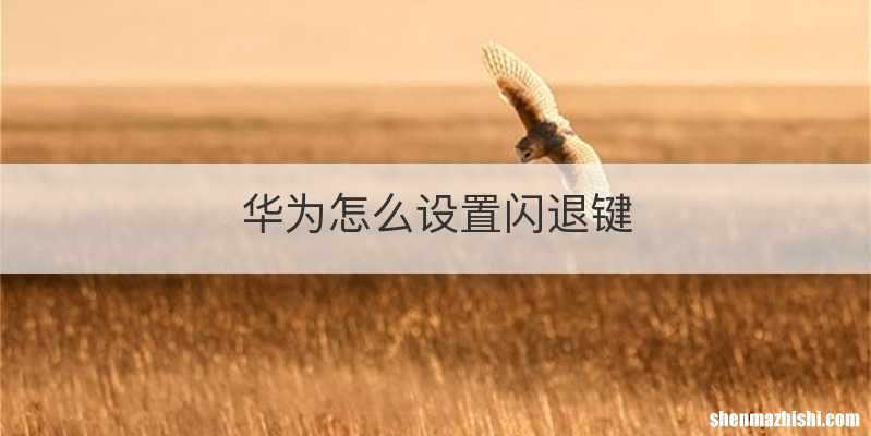 华为怎么设置闪退键