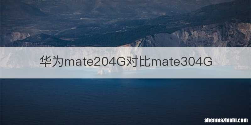 华为mate204G对比mate304G