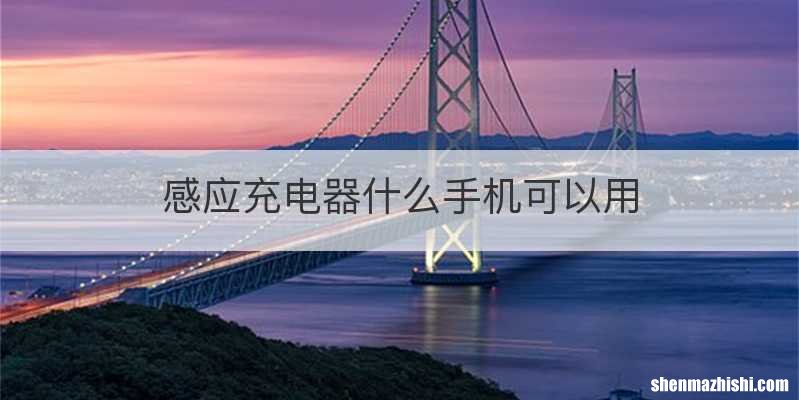 感应充电器什么手机可以用