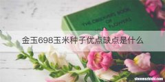 金玉698玉米种子优点缺点是什么