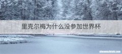 里克尔梅为什么没参加世界杯