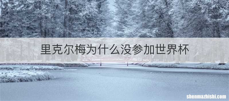 里克尔梅为什么没参加世界杯