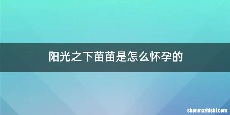 阳光之下苗苗是怎么怀孕的