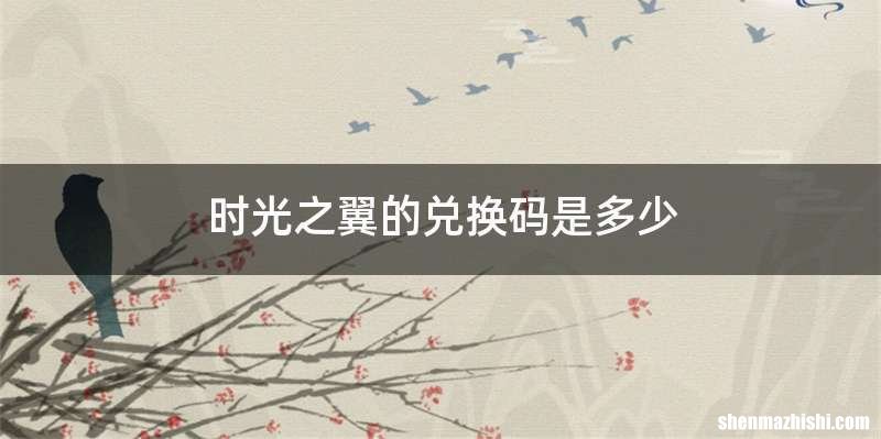 时光之翼的兑换码是多少