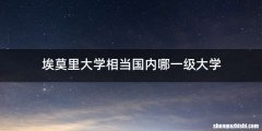埃莫里大学相当国内哪一级大学