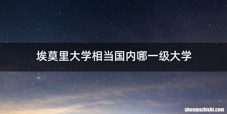 埃莫里大学相当国内哪一级大学