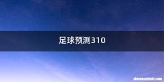 足球预测310