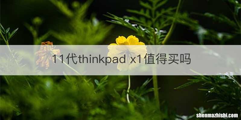 11代thinkpad x1值得买吗